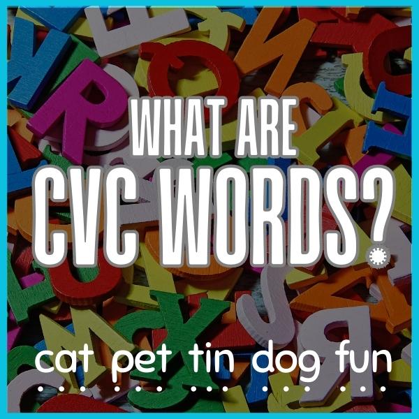 What Are CVC Words?